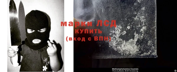трава Тында