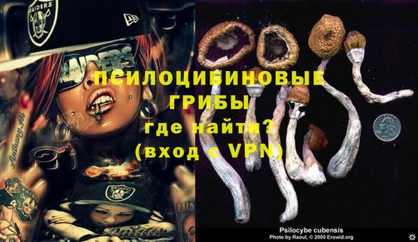 MDMA Premium VHQ Заводоуковск
