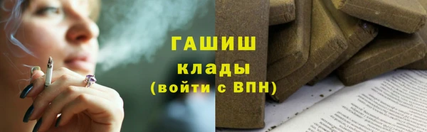 СК Ельня