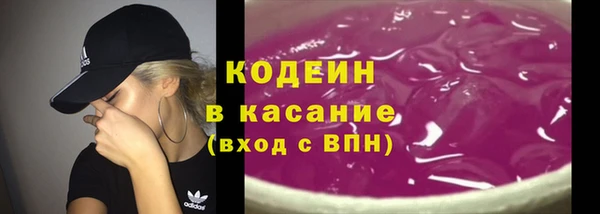 СК Ельня