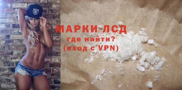 СК Ельня