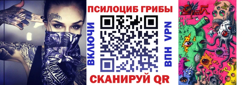 Псилоцибиновые грибы Psilocybine cubensis  Первоуральск 