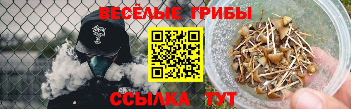 Первоуральск  купить   Псилоцибиновые грибы ЛСД  Вход с VPN  Галлюциногенные грибы Magic Shrooms 